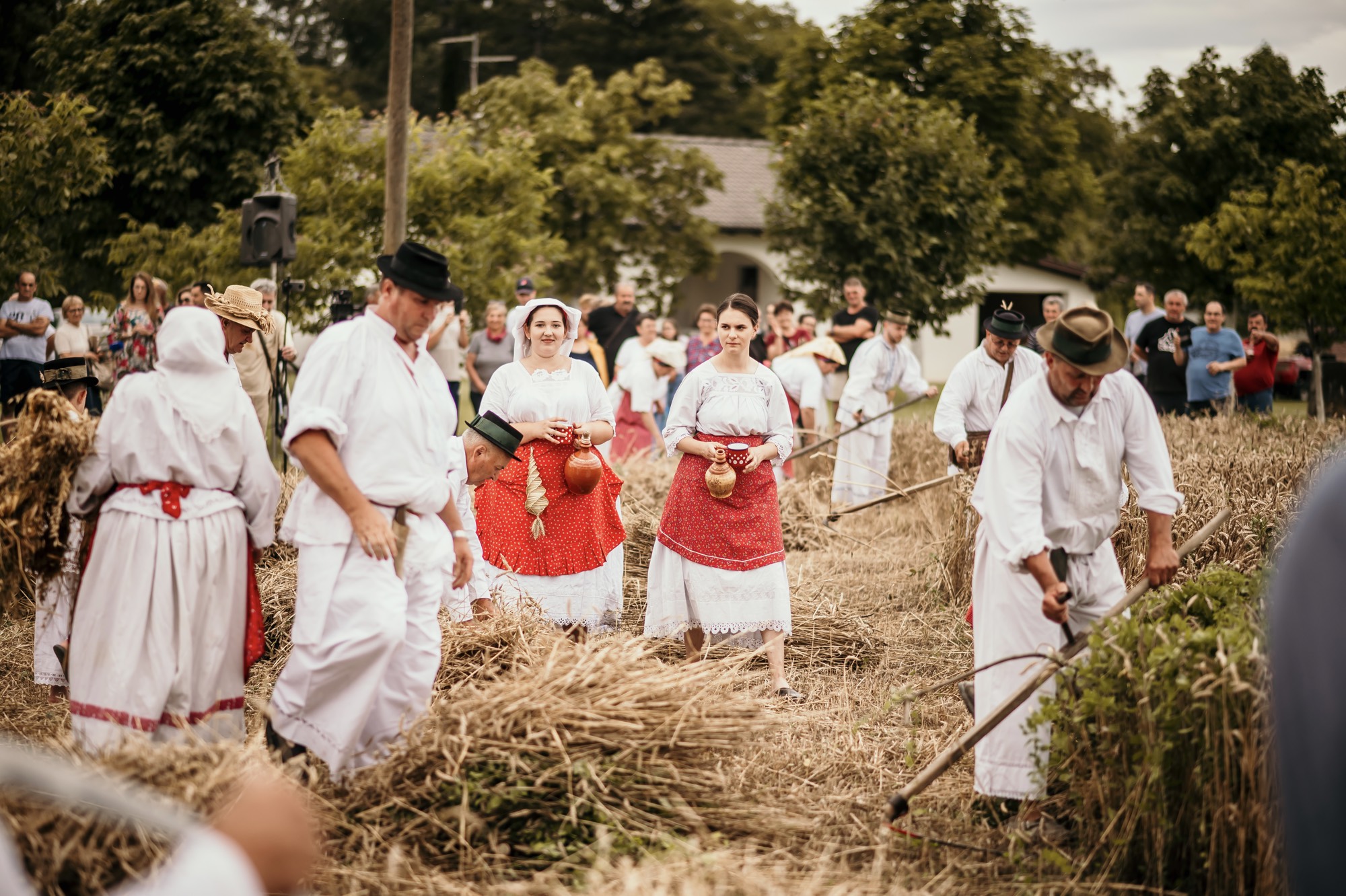 Objed u-polju-1024x768.jpeg