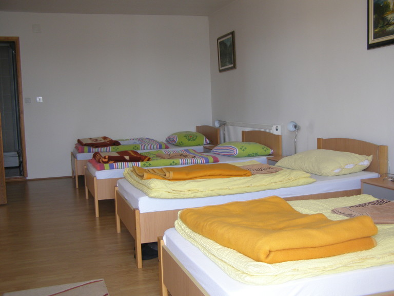 P2040024 768x576.jpeg